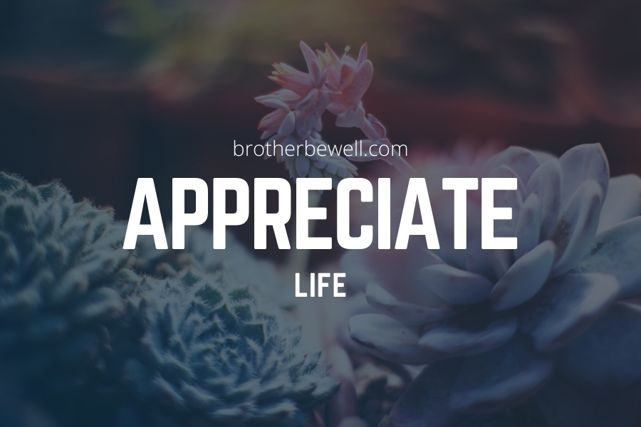 Appreciate Life