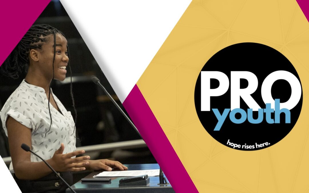 Pro Youth and Families Webinar