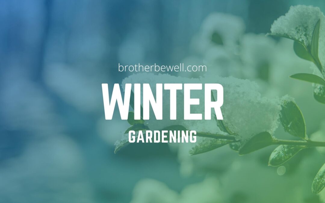 Winter Gardening